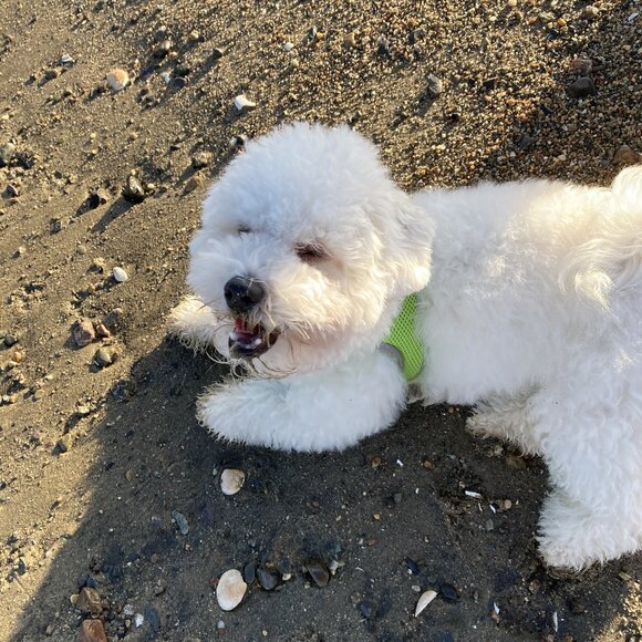 Meet your Posher, Christina - Picture 1 of 1